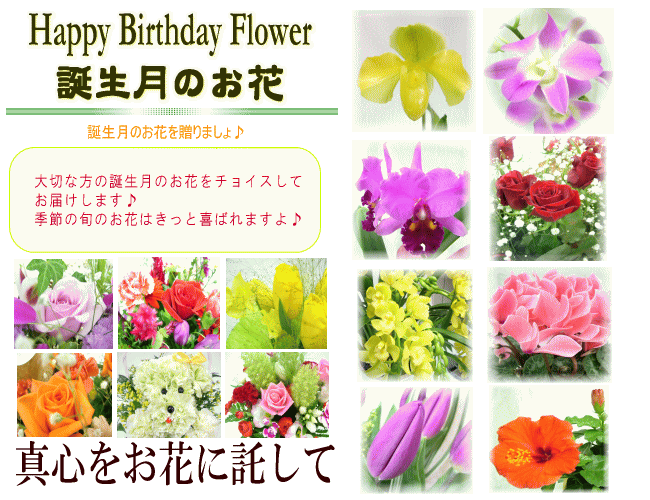 誕生月のお花を贈る 花ギフト8月の誕生花 誕生日 ヒマワリ お祝い お供え花アレンジ 花束 プリザーブドフラワー特集 送料無料 いい花コム