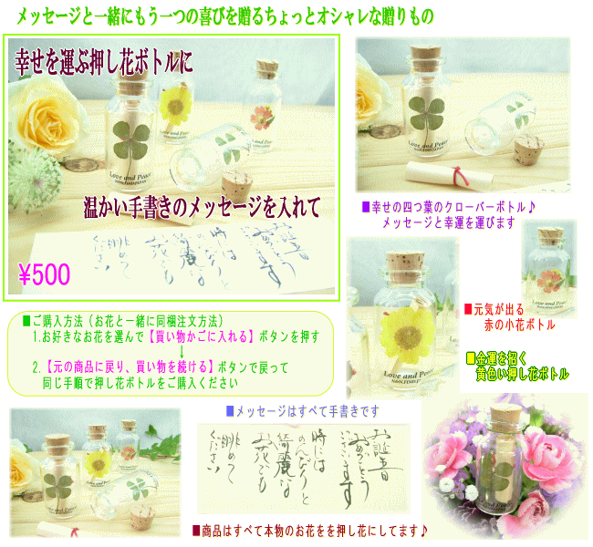 押し花ボトル お洒落なメッセージボトル 四つ葉の押し花 小花 今だけ ３００円