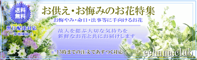 お供え お悔やみに贈る花 デザイナーにおまかせ5 000円 送料無料 法事 お供え お盆 お彼岸 アレンジ 花束 お供え お悔やみに贈る花 デザイナーにおまかせ5 000円 送料無料 法事 お供え お盆 お彼岸 アレンジ 花束