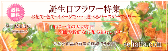 誕生日専用バースデーフラワー特集